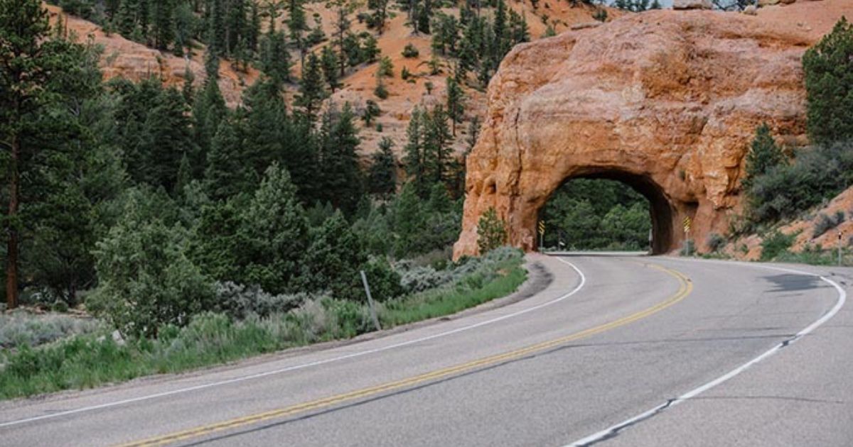Classic American Road Trips: Walking Tours of Towns along the Dixie Highway (Look Up, America!)